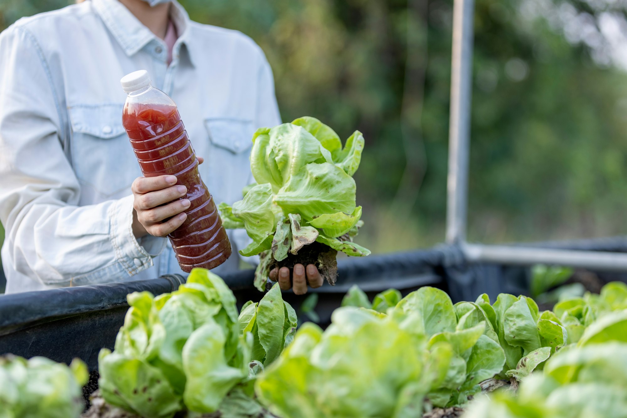 bio-fermented water